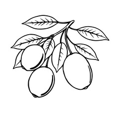 Elegant Botanical Illustration of Lush Leaves and Ripe Fruits in Minimalist Black and White Lineart