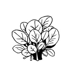 Fototapeta premium Vibrant Greens A Lush Leafy Illustration Celebrating Nature s Bounty in Minimalist Style