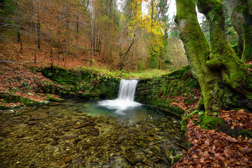 Dziki wodospad Brenna, Polska © Gregy