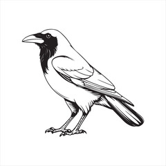 Minimalist Crow Line Art Illustration,simple Raven Outline Drawing,One Line Crow Bird Sketch,Black and White Crow Vector Art,Hand Drawn Raven Outline Design