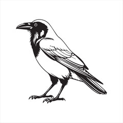 Minimalist Crow Line Art Illustration,simple Raven Outline Drawing,One Line Crow Bird Sketch,Black and White Crow Vector Art,Hand Drawn Raven Outline Design