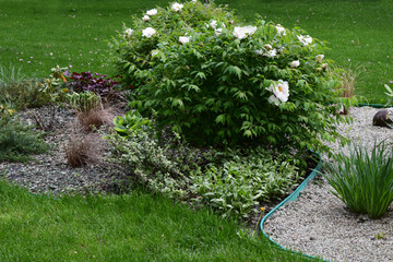 A well-maintained garden featuring lush green grass, a variety of plants, and shrubs. Lush Greenery Garden