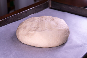 Yeast dough in a bowl.  Cooking process. Selective focus