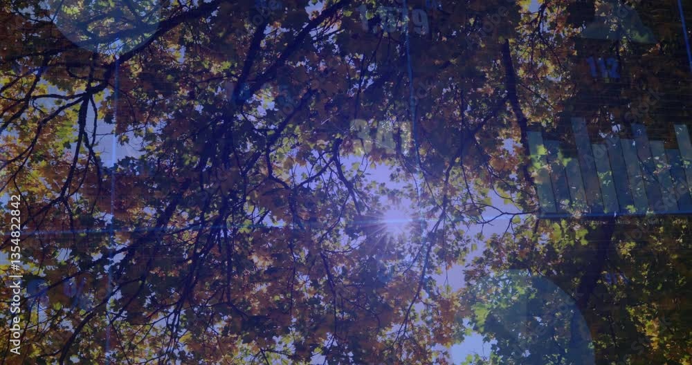 Poster sunlight filtering through autumn leaves with animation of faint data graphs