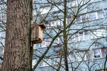Wooden birdhouse on tree trunk in urban park, early springtime in city environment