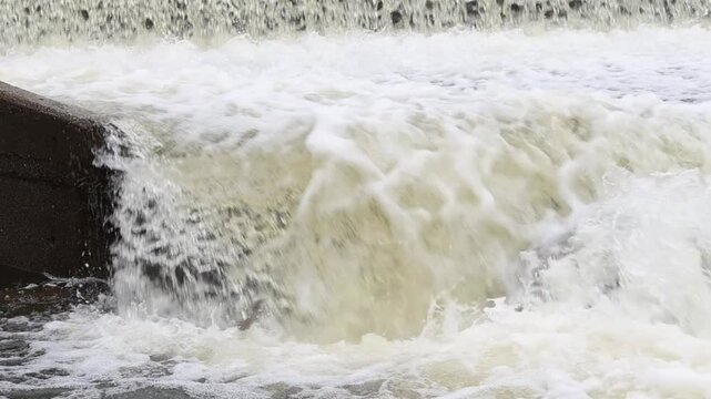 Slow motion video of an Eagle Lake rainbow trout (Oncorhynchus mykiss aquilarum) leaping upstream at Pine Creek fish traps in Lassen County, California.