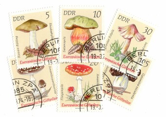 A set of vintage postage stamps from Germany on a white background.