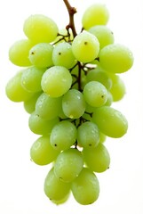 green grapes isolated on white