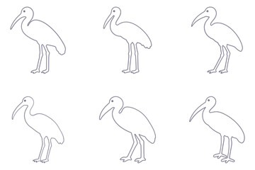 Ibis Outline Animal Icon Set