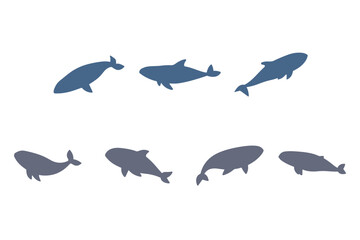 Whale Silhouette Animal Icon Set