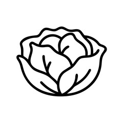 Cabbage 