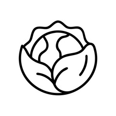 Cabbage 