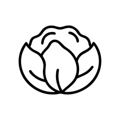 Cabbage 