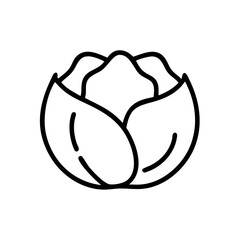 Cabbage 