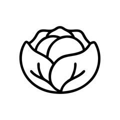 Cabbage 