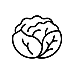 Cabbage 