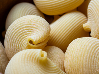 Sopa de galets en catalu&ntilde;a y lumaconi en italia