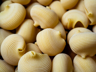 Sopa de galets en catalu&ntilde;a y lumaconi en italia