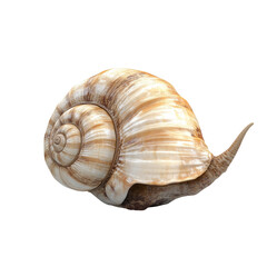 Obraz premium Snail on a transparent background nature 3d model detailed close-up