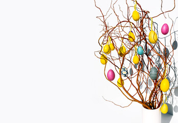 Paastakken branch yellow pink egg white background sun Easter Europe twig
