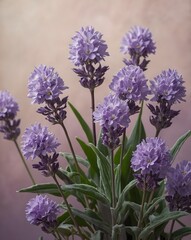 Elegant Purple Flowers in Bloom – Botanical Nature Photography with Soft Pastel Background