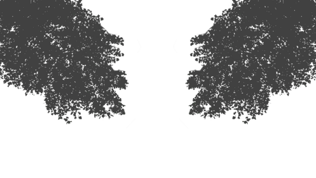 4k tree shadow