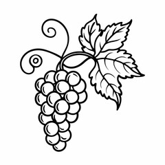 Black and White Grape Vine Line Art with Leaf Details