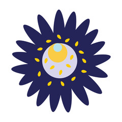 Dark blue flower. Spring and summer theme. Seasonal ornamental plant. Decoration for postcards, posters, business cards, invitations. Nice ornament. One icon isolated on white background.