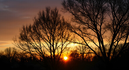 Naklejka premium Bare Tree Silhouettes Against a Stunning Sunset Sky at Dusk