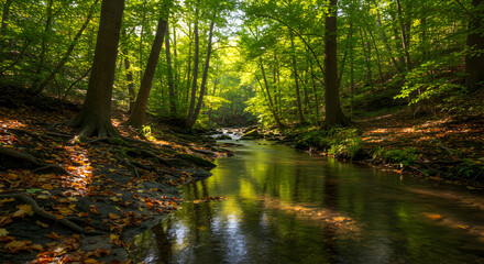 Obraz premium Flowing Stream Through Green Forest with Sunlight and Leaf Litter