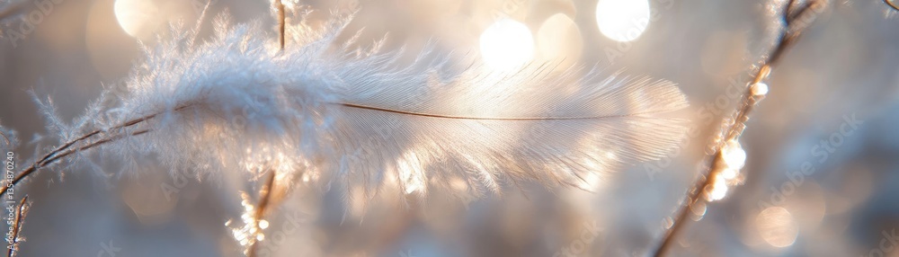 Aufkleber a single white feather resting on delicate twigs with bokeh