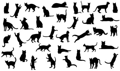 silhouettes of cats