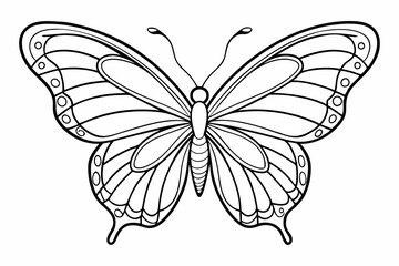 coloring page line art the butterfly black vector