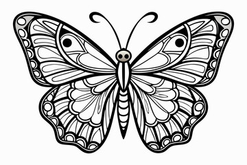coloring page line art the butterfly black vector
