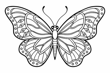 coloring page line art the butterfly black vector