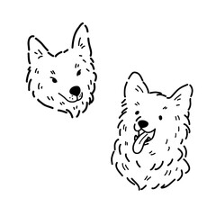 A set of vector images with the heads of Yakut huskies