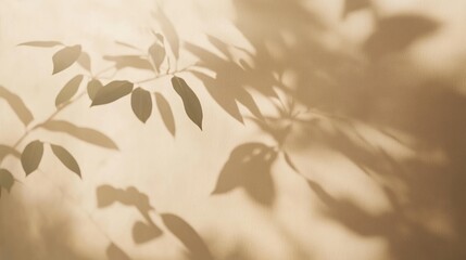 Fototapeta premium Shadows of leaves and branches are cast on a wall