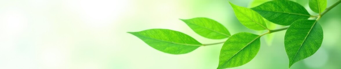 Obraz premium Green leaf isolated on a white background with subtle texture, closeup, plant leaves, texture