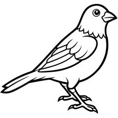 vector illustration of a bird