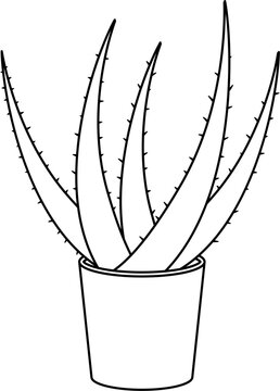recommend clip art: Aloe vera outline vector