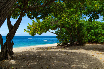 The magnificent island of Oahu