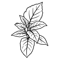 Lush Green Foliage A Vibrant Sprig of Leaves Nature s Beauty
