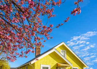 Top of luxury house with shingle roof, red and yellow trees and nice windows in Summer in...
