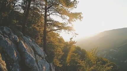 Majestic sunlit trees and rocky mountain landscape scenery
