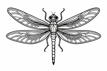 coloring page line art the dragonfly black vector