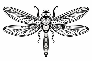 coloring page line art the dragonfly black vector