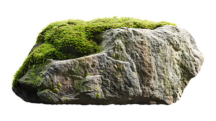 Moss-covered stone with rough texture, isolated on a white background
