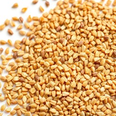 Fototapeta premium Close-up of spelt bran and grains, isolated on white, gluten, muesli