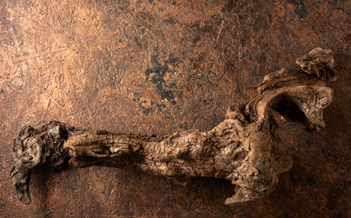 Dried wooden snags on the brown vintage background.