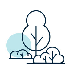 Deciduous trees and shrubs, bushes, grove, forest